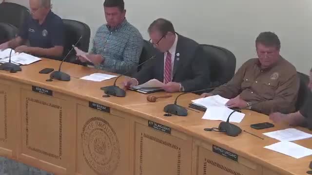 Council amends budget to allow purchase of additional downtown properties for preservation