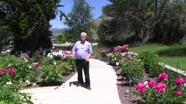 Garden Exhibit Features 252 Peonies Named After Piano Keys