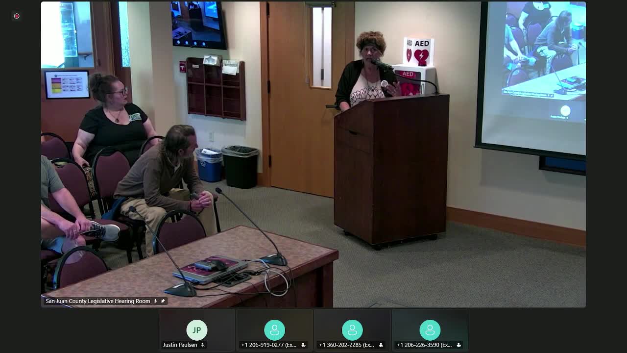 Jill Bliss advocates for careful modernization of Decatur Island's electrical system