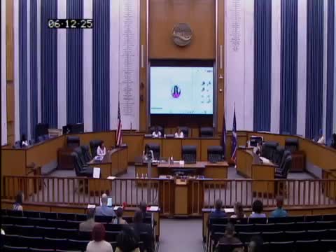 Lorraine Wright presents Richmond's Trauma Healing Response Network to city council