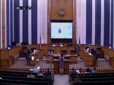 Richmond City Council approves funding amendments for children's programs and opioid treatment