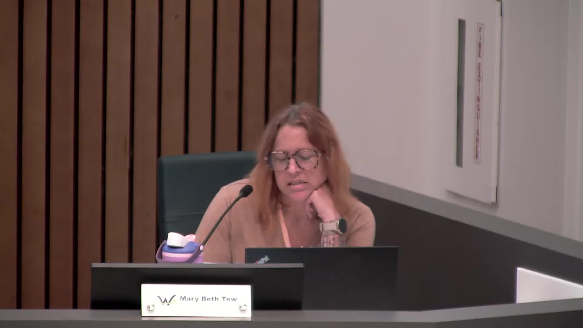 Residents oppose Lennar's Weathers Landing development citing environmental and traffic concerns