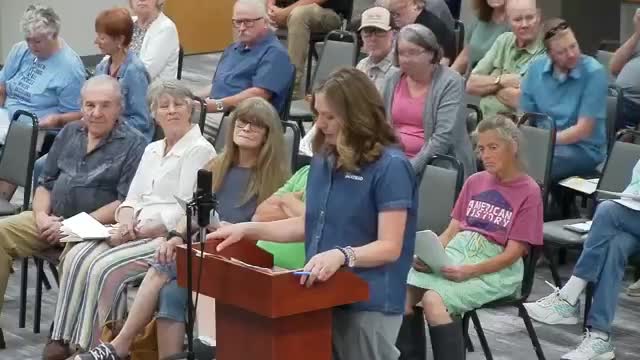 City Council reviews South Fifth area wide plan to enhance community and safety measures