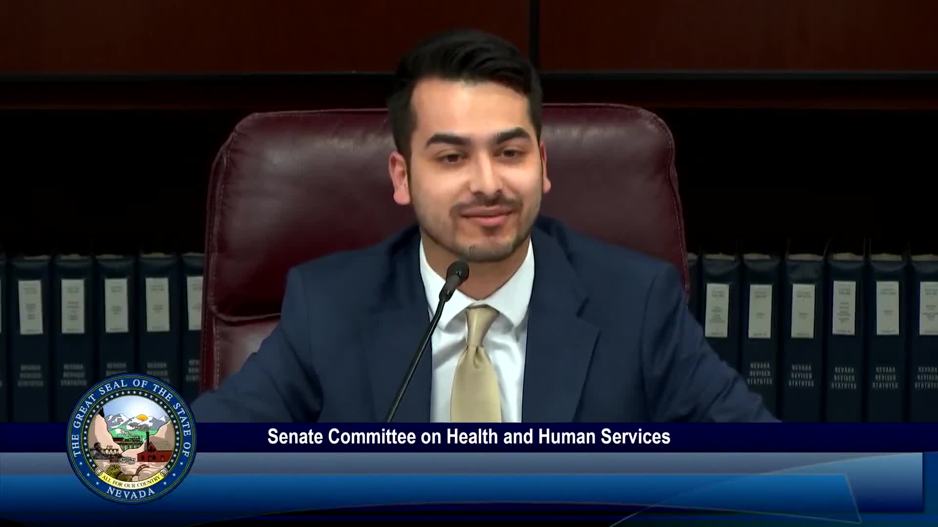 Assembly Bill 514 targets mental health care improvements in Nevada