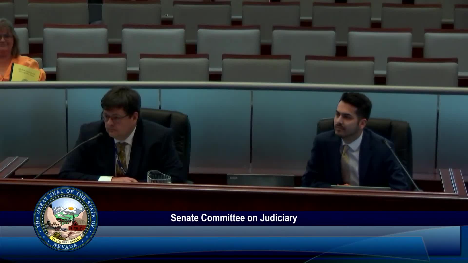 Committee discusses guardianship nominations amid parental rights and immigration issues