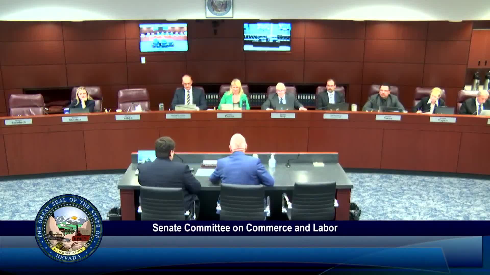 Senate committee hears AB204, a compromise medical‑debt bill; stakeholders flag emergency and reporting issues