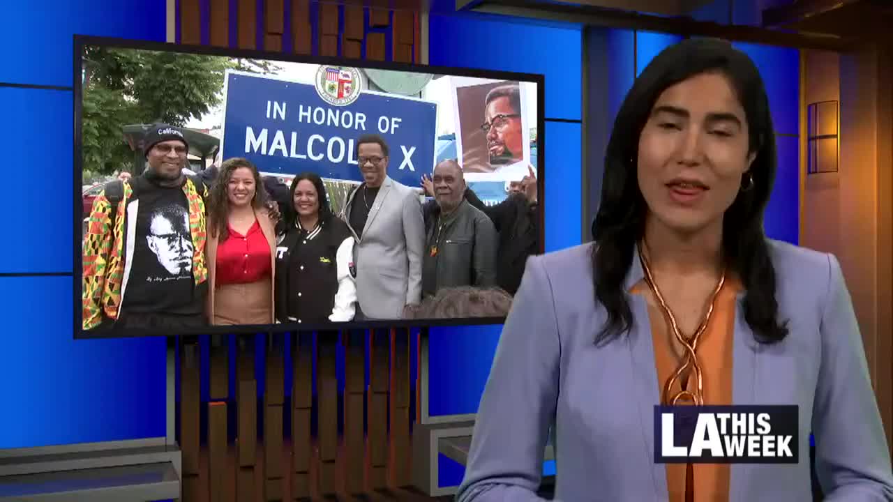 Councilwoman Heather Hutt dedicates Malcolm X Way on Crenshaw Boulevard