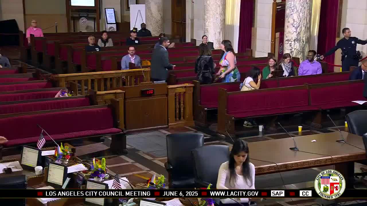 Council Member Nazarian highlights arts funding challenges during public comments