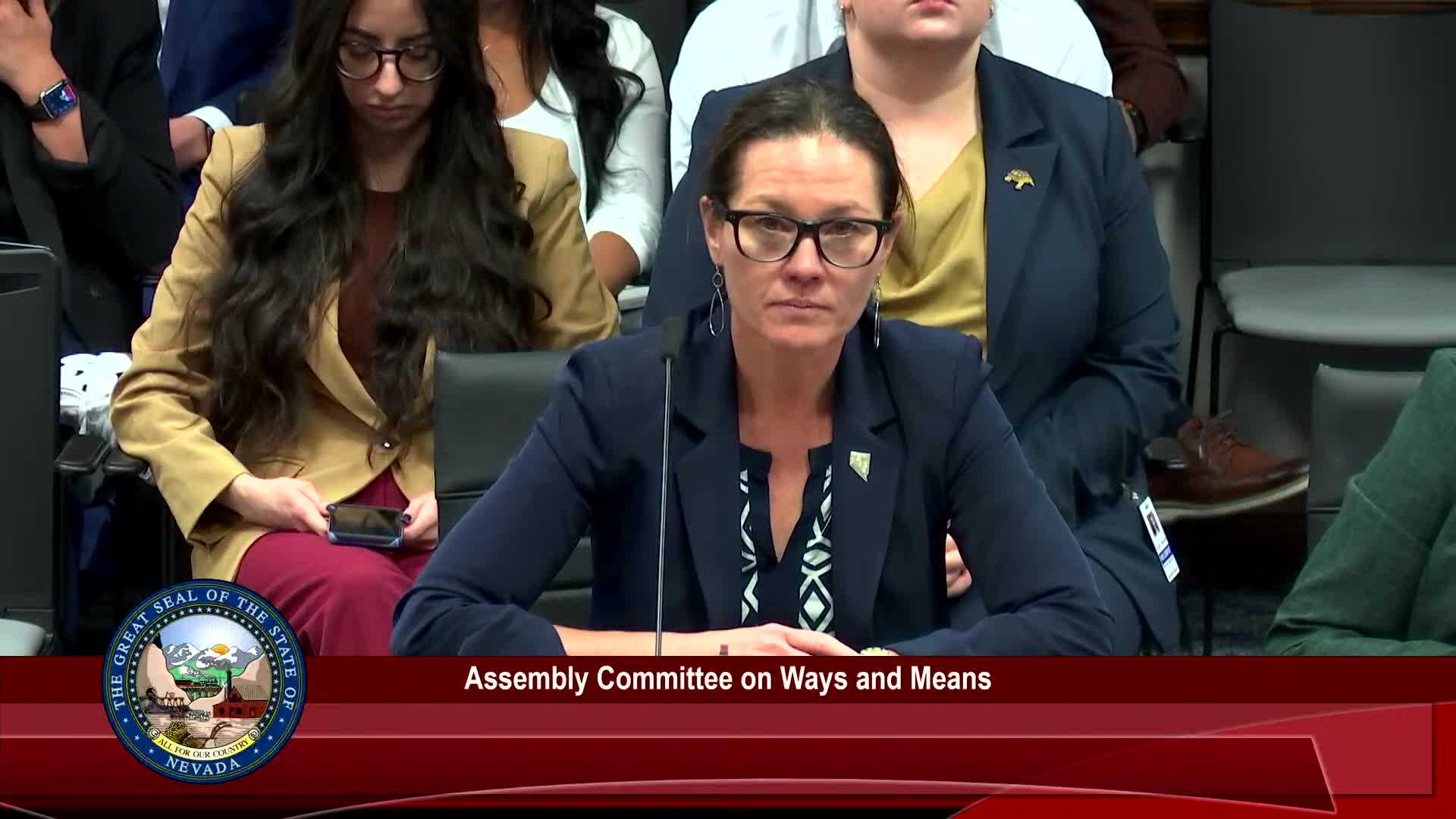 Senate committee supports SB 393 to address Windsor Park housing crisis