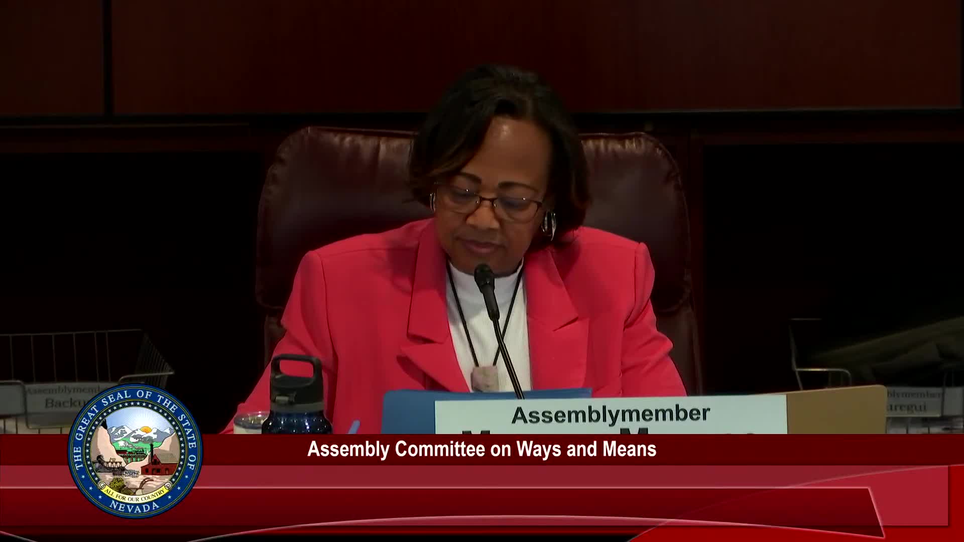 Bill would revise Nevada financial‑literacy diploma seal, add standards review and one‑time testing funds