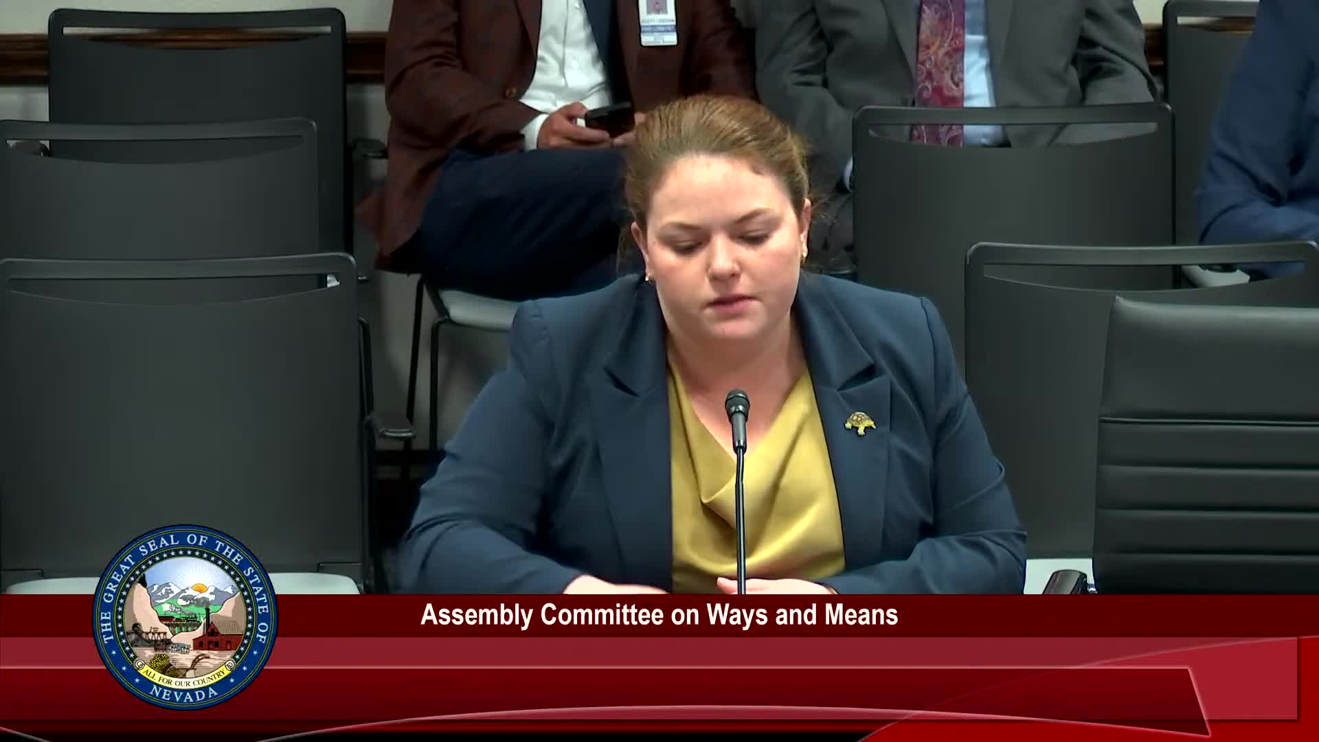 Committee hears bill allowing natural‑gas utilities to seek alternative rate plans; PUCN notes modest implementation cost