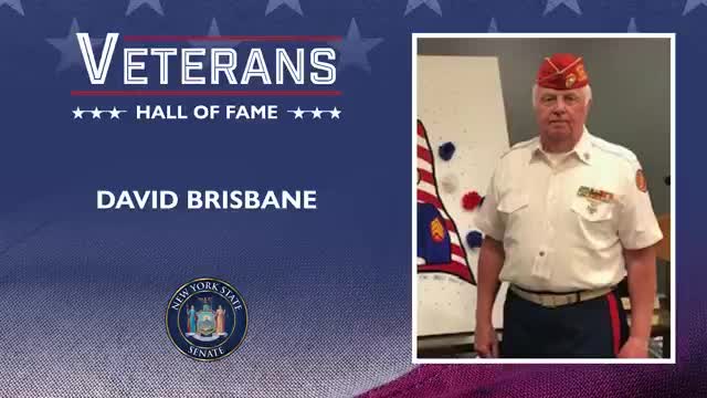 Ceremonial recognition for Vietnam veteran David Brisbane noted during meeting