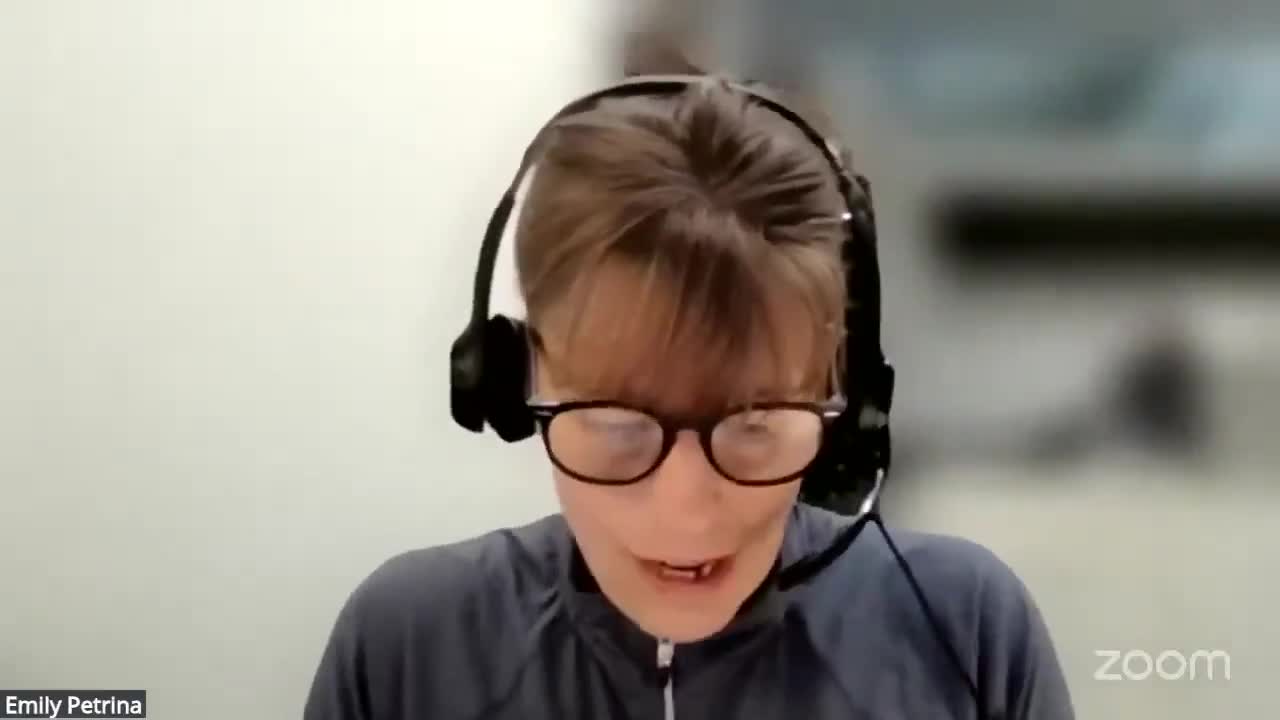 Applicant for DeWitt Park house seeks special‑permit recognition for bed‑and‑breakfast at 308 North Cayuga Street