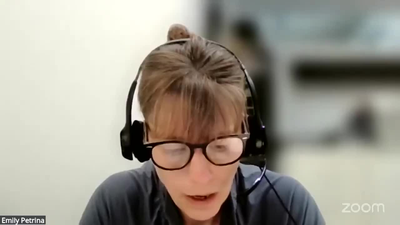 Developer, planning board spar over Cayuga Park sign package as designers shrink and clarify proposals