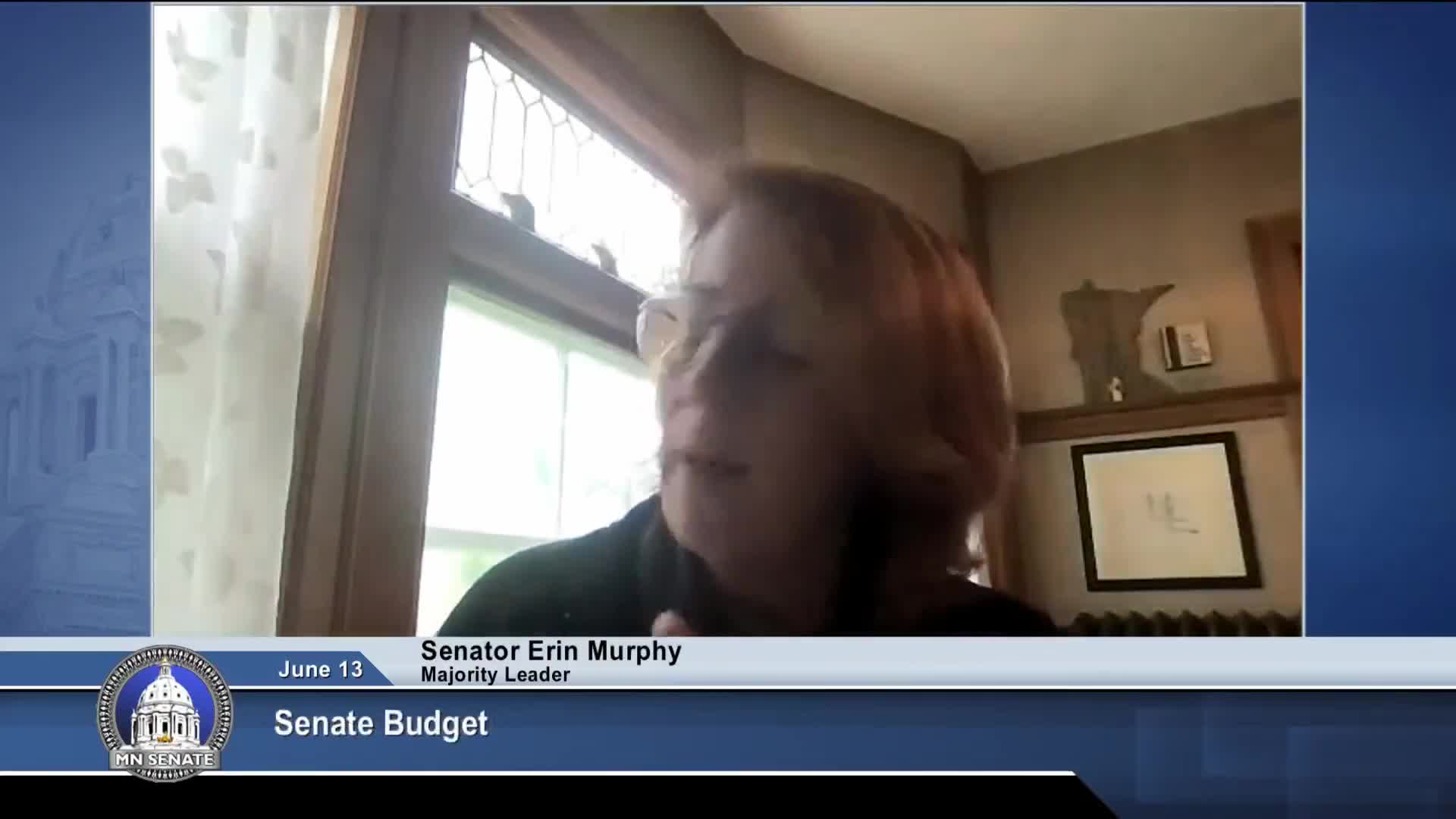 Senate Rules and Administration committee adopts biennial budget and staff compensation package