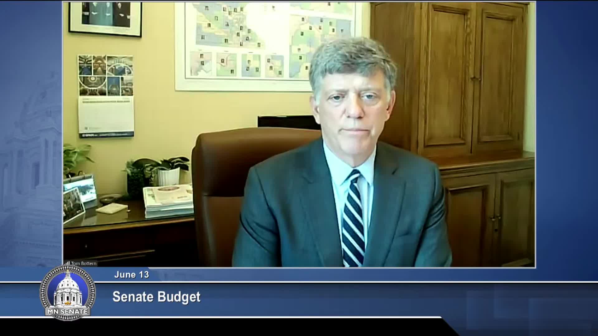 Senate Rules Committee approves budget in remote voting session