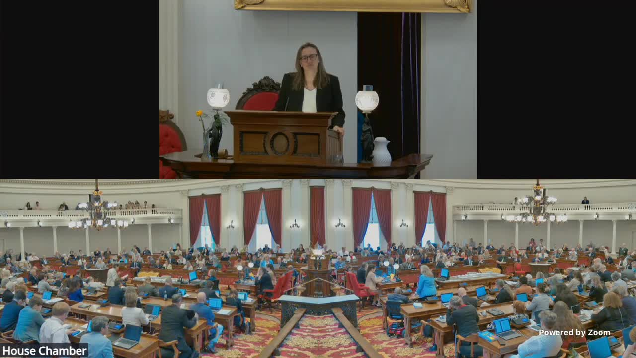 House debates voting rights amid write-in candidate proposal amendments