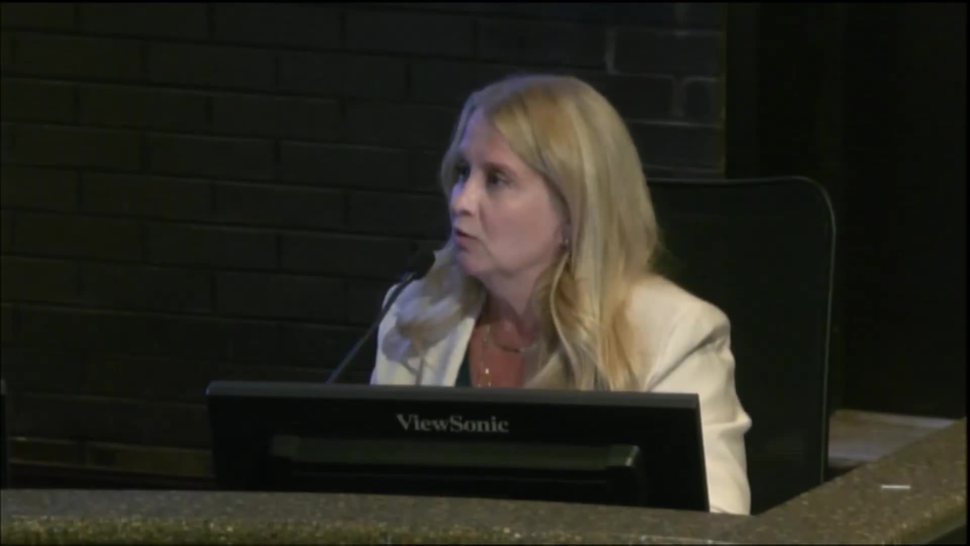 Joliet proposes new cultural affairs director to enhance city event management