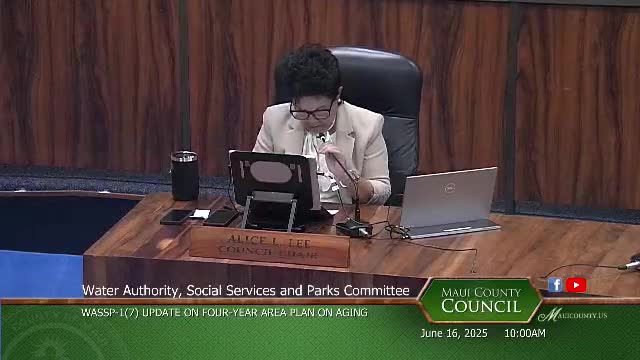 State officials discuss staffing challenges and funding for Lahaina wildfire recovery plan