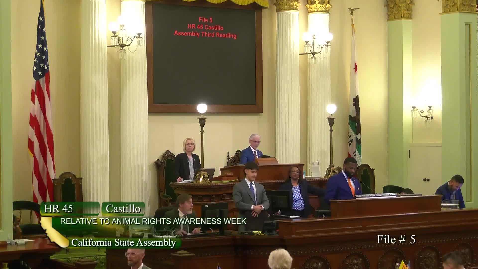 Assemblymember Castillo promotes animal welfare during Bridal Rights Awareness Week