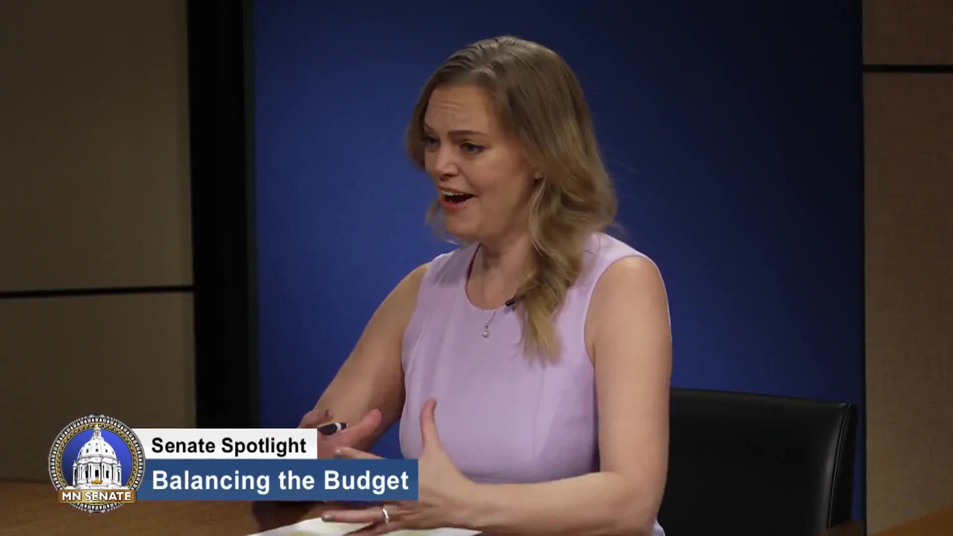 Senate Republicans express concerns over Minnesota's budget cuts and healthcare policies
