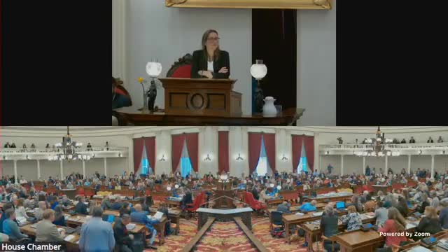 Burlington Lawmaker Voices Opposition to House Bill 454 Amidst Public Outcry