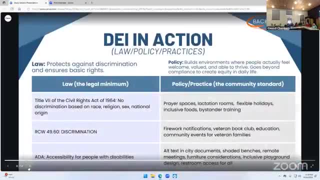 DEI Commission discusses laws and strategies for enhancing equity in public spaces