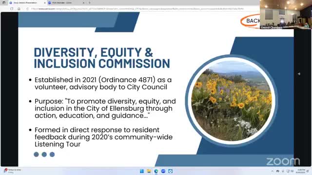 Council establishes DEI commission to address community cultural themes