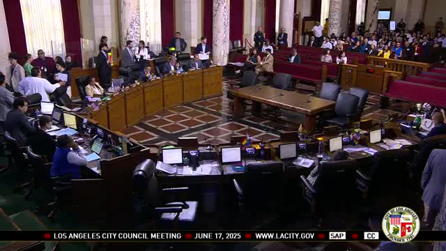 Los Angeles council discusses Little Tokyo business improvement district proposal