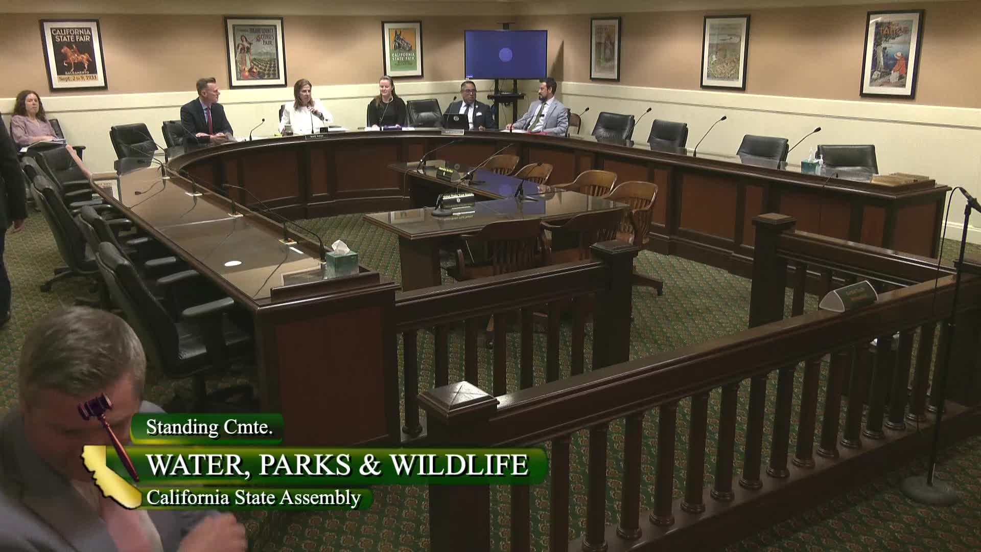 Senator McInerney presents first bill to assembly despite lack of quorum