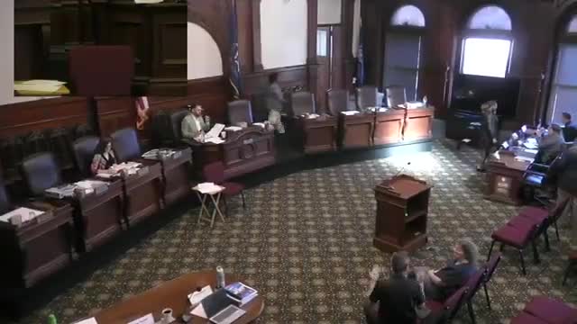 Rochester Public Library wins budget increase; leaders outline staffing, social services and new branch plans