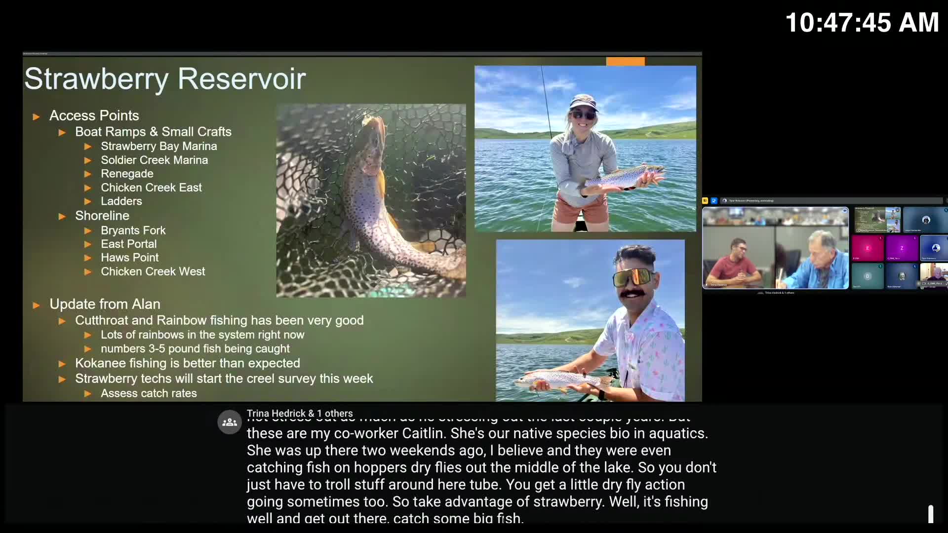 Utah Lake sees surge in catfish catch rates during peak spawning season