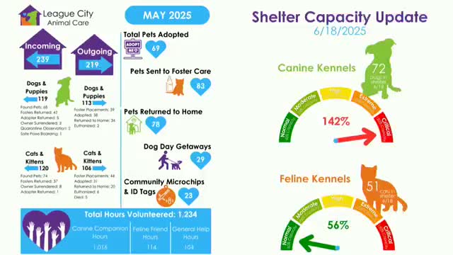 Animal Shelter reports record capacity and increased foster care for summer months