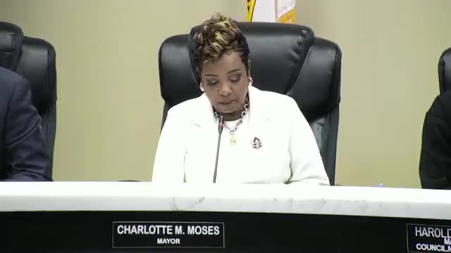 Mayor of Port Arthur outlines community challenges and calls for unity