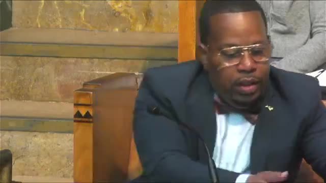 Councilmember seeks pause on GIA awards to review frontline arts and public-art policy