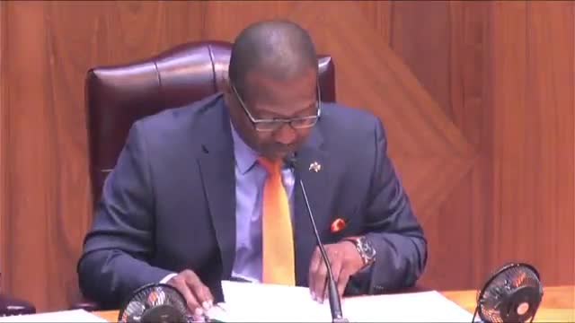 Committee hears calls to draft menthol sales ban, then tables item for later review