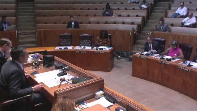 Committee tables call for immediate action on Buffalo lead remediation after members cite slow progress