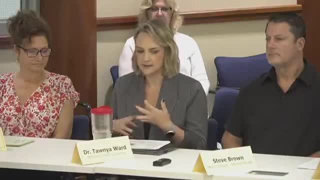 Youth Substance Use Panel Highlights Risks of Legalization and Vaping