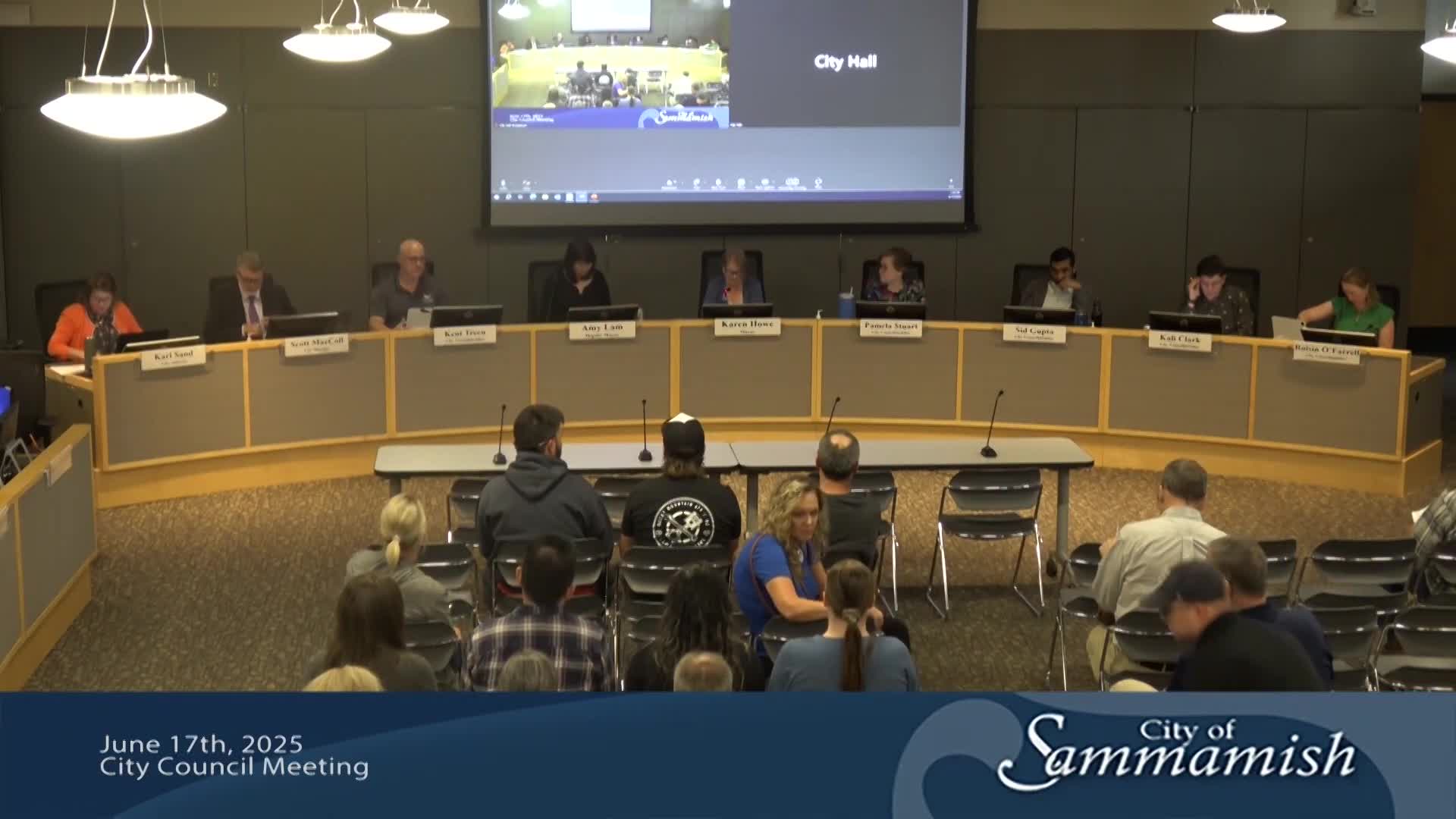 Sammamish City Council adopts first art strategic plan for cultural development
