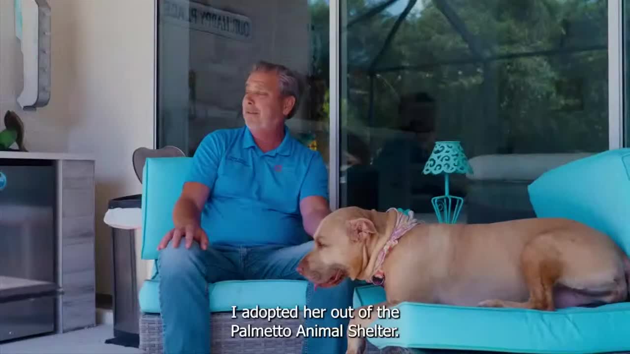 Veterans benefit from Pets for Patriots program promoting shelter pet adoption