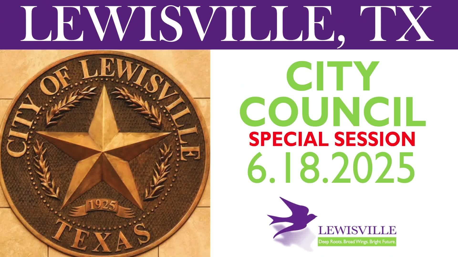 Lewisville City Council approves election results declaring Lonnie E Tipton as winner