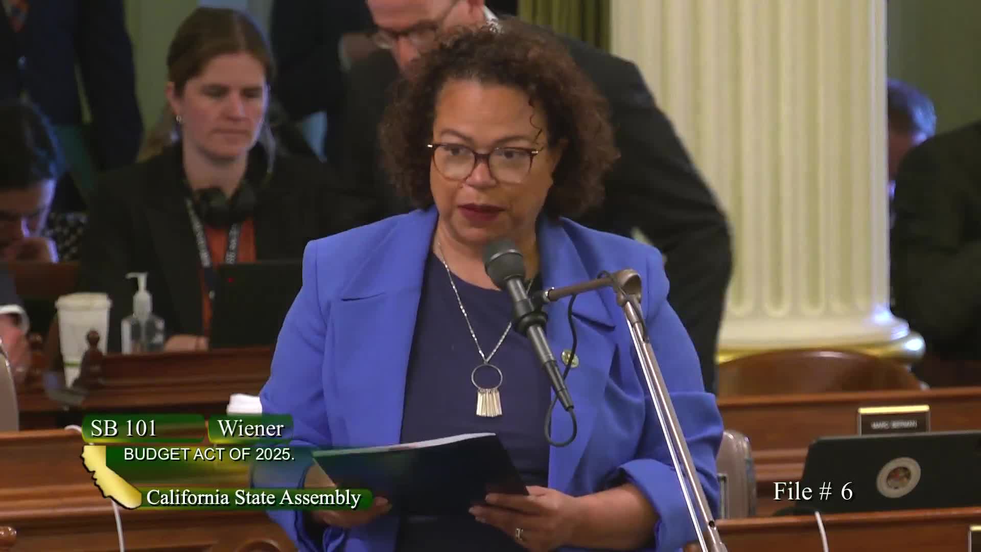 California Assembly debates imperfect budget impacting immigrant health services and crime victim support