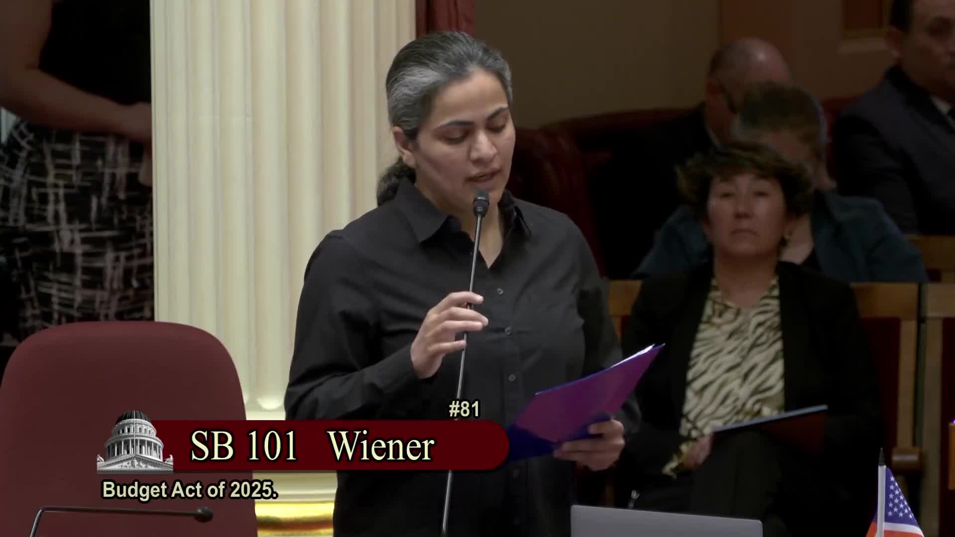 California Senate allocates $300M for down payment assistance and housing initiatives