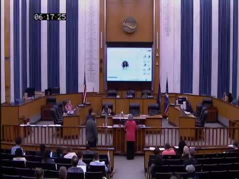 Richmond Redevelopment Housing Authority discusses Gilpin Court redevelopment plans