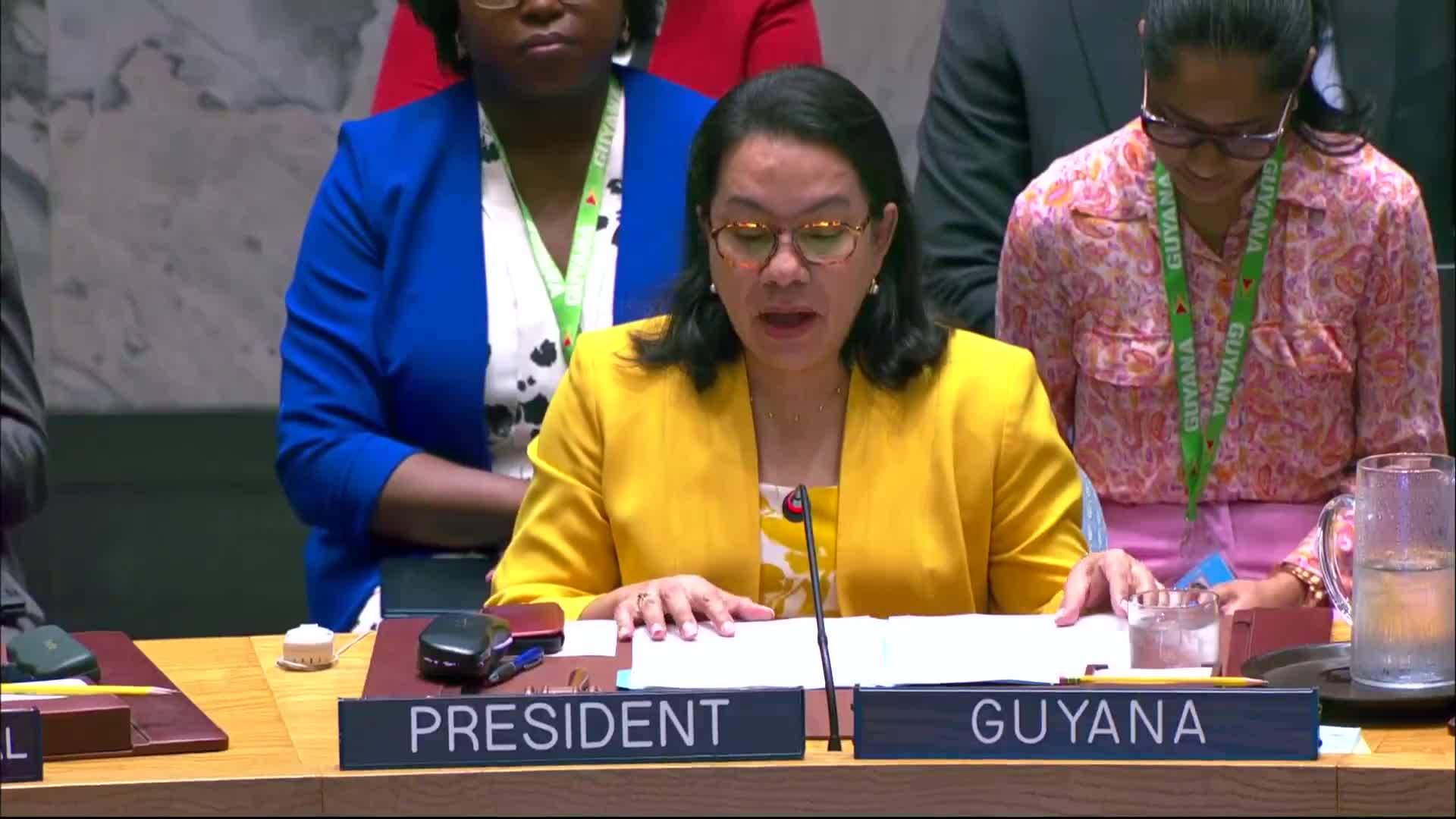 Miss De Carlo highlights escalating conflict between Iran and Israel at UN meeting