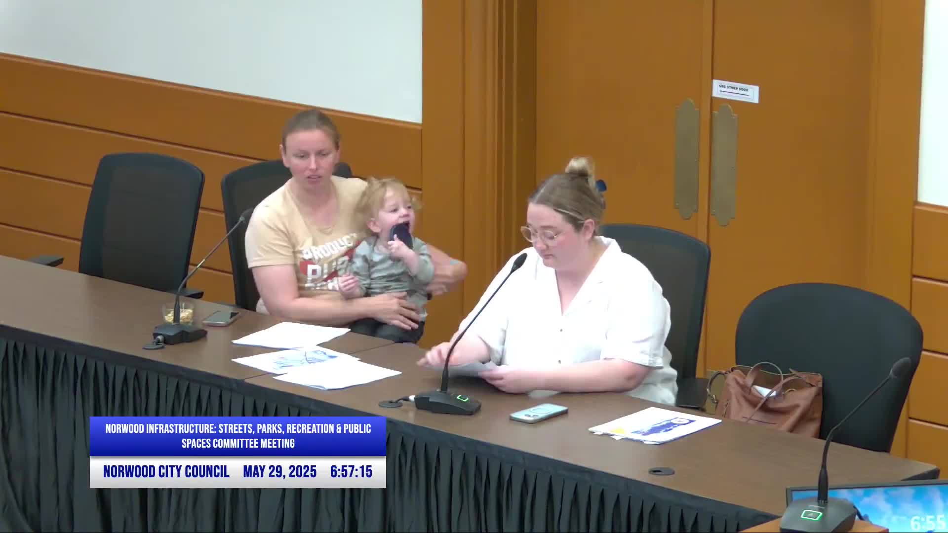 Norwood committee reviews Tower Park and Marsh Park projects; federal funds sought for Dorril Field