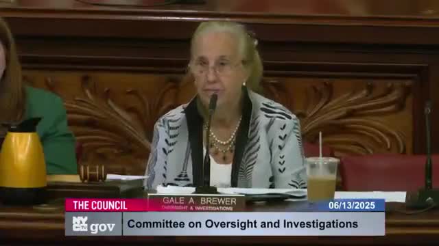 Christopher Leon Johnson urges New York City Council to enhance public corruption reporting online