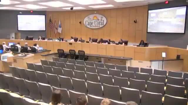 Youth council to review and update strategic plan; members to find latest document before July meeting