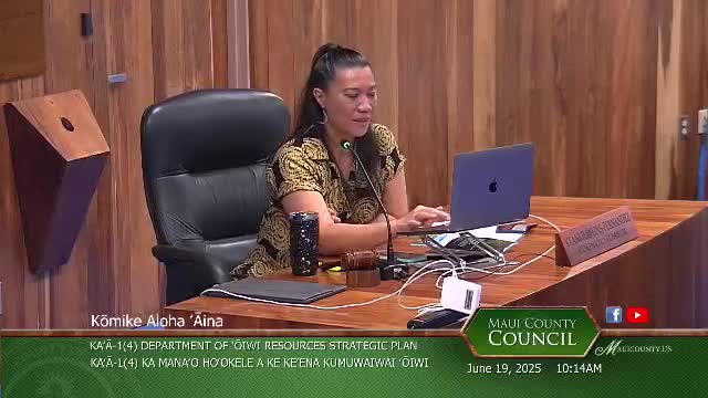 Maui Nui officials plan community-led regional goals for strategic development