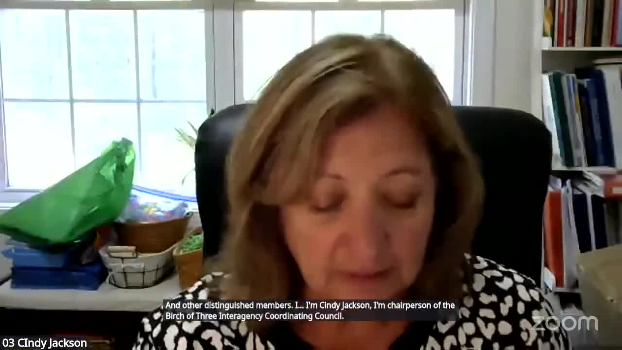 Commissioner highlights challenges of Connecticut's birth to 3 services certification process